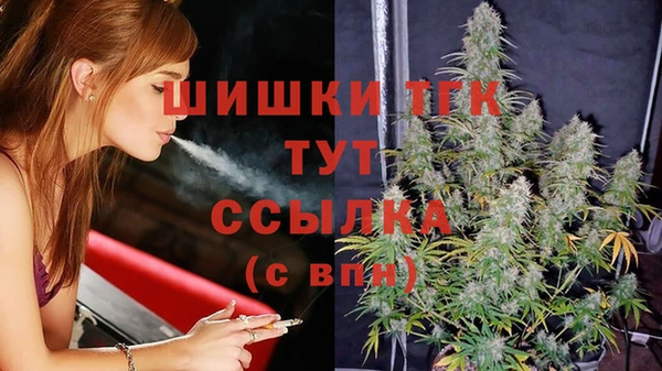 СК Белокуриха
