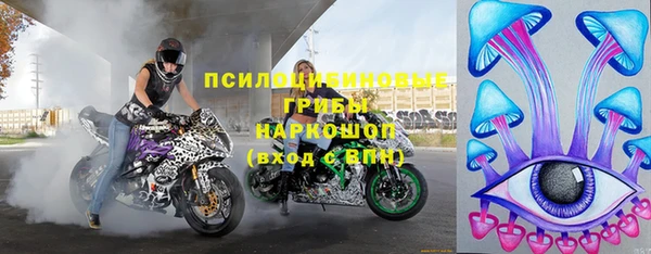СК Белокуриха