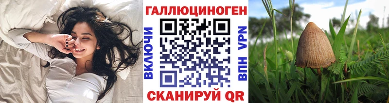 даркнет сайт  Ленинградская  Галлюциногенные грибы Magic Shrooms 